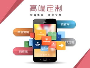 張家口軟件項目外包 打造本地生活服務平臺的策略與挑戰(zhàn)